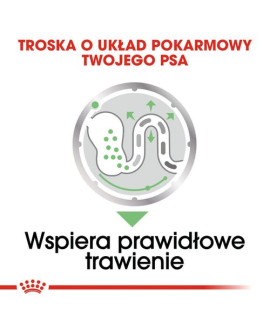 Royal Canin Digestive Care Karma Mokra Dla Psów Dorosłych, Wszystkich Ras O Wrażliwym Przewodzie Pokarmowym Saszetka 85G