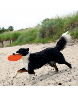 Trixie Frisbee Dysk Z Gumy Tpr 22Cm [Tx-33506]