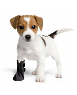 Grande Finale But Softshell Na Chorą Łapę R.2 - 5Cm Czarny