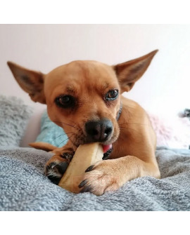 4Dogs Gryzak Z Sera Himalajskiego Churpi Original M