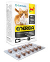 Wita-Vet Kot Energia Junior + Adult 60Tabl