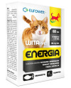 Wita-Vet Kot Energia Junior + Adult 60Tabl