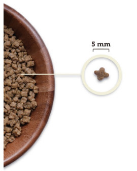 Acana Highest Protein Kitten 1,8Kg