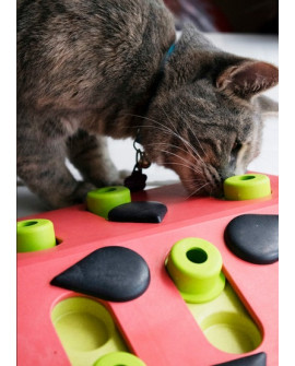 Nina Ottosson Cat Melon Madness Puzzle & Play - Gra Edukacyjna Dla Kotów
