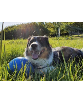 Boomer Ball M - 6" / 15Cm Niebieska