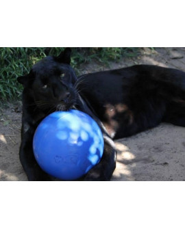 Boomer Ball M - 6" / 15Cm Niebieska