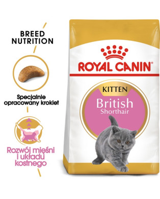 Royal Canin British Shorthair Kitten Karma Sucha Dla Kociąt, Do 12 Miesiąca, Rasy Brytyjski Krótkowłosy 400G