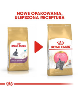 Royal Canin British Shorthair Kitten Karma Sucha Dla Kociąt, Do 12 Miesiąca, Rasy Brytyjski Krótkowłosy 400G