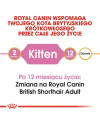 Royal Canin British Shorthair Kitten Karma Sucha Dla Kociąt, Do 12 Miesiąca, Rasy Brytyjski Krótkowłosy 400G