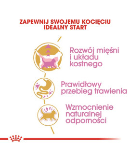 Royal Canin British Shorthair Kitten Karma Sucha Dla Kociąt, Do 12 Miesiąca, Rasy Brytyjski Krótkowłosy 400G