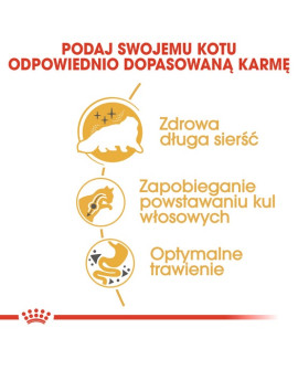 Royal Canin Persian Adult Karma Sucha Dla Kotów Dorosłych Rasy Perskiej 400G