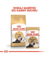Royal Canin Persian Adult Karma Sucha Dla Kotów Dorosłych Rasy Perskiej 400G