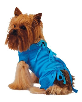 Grande Finale Koszulka Pooperacyjna Rozmiar 2 / 28Cm Niebieska [Wet1]