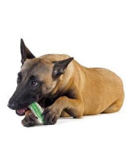 Petstages Crunchcore Small Ps264