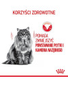 Royal Canin Dental Care Karma Sucha Dla Kotów Dorosłych, Redukująca Odkładanie Kamienia Nazębnego 400G