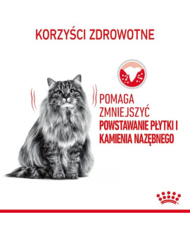 Royal Canin Dental Care Karma Sucha Dla Kotów Dorosłych, Redukująca Odkładanie Kamienia Nazębnego 400G