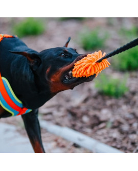 Dingo Zabawka Dla Psa - Szarpak Mop Z Rączką Bungee Niebieski