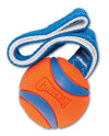 Chuckit! Ultra Tug Small [231101]