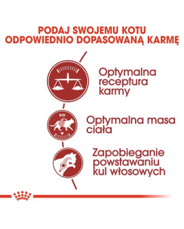 Royal Canin Fit Karma Sucha Dla Kotów Dorosłych, Wspierająca Idealną Kondycję 400G