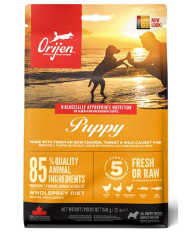 Orijen Puppy 340G