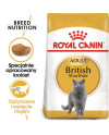 Royal Canin British Shorthair Adult Karma Sucha Dla Kotów Dorosłych Rasy Brytyjski Krótkowłosy 2Kg