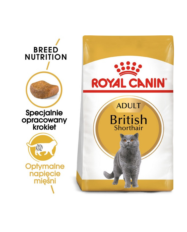 Royal Canin British Shorthair Adult Karma Sucha Dla Kotów Dorosłych Rasy Brytyjski Krótkowłosy 2Kg