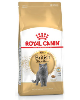 Royal Canin British Shorthair Adult Karma Sucha Dla Kotów Dorosłych Rasy Brytyjski Krótkowłosy 2Kg