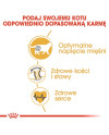 Royal Canin British Shorthair Adult Karma Sucha Dla Kotów Dorosłych Rasy Brytyjski Krótkowłosy 2Kg