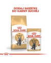 Royal Canin British Shorthair Adult Karma Sucha Dla Kotów Dorosłych Rasy Brytyjski Krótkowłosy 2Kg