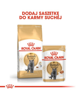 Royal Canin British Shorthair Adult Karma Sucha Dla Kotów Dorosłych Rasy Brytyjski Krótkowłosy 2Kg