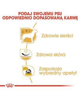 Royal Canin West Highland White Terrier Adult Karma Sucha Dla Psów Dorosłych Rasy West Highland White Terrier 1,5Kg