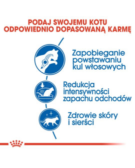 Royal Canin Indoor Long Hair Karma Sucha Dla Kotów Dorosłych, Długowłose, Przebywających Wyłącznie W Domu 400G