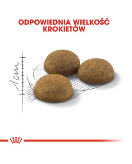 Royal Canin Indoor Long Hair Karma Sucha Dla Kotów Dorosłych, Długowłose, Przebywających Wyłącznie W Domu 400G