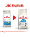 Royal Canin Indoor Apetite Control Karma Sucha Dla Kotów Dorosłych Przebywających W Domu, Domagających Się Jedzenia 400G
