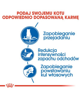 Royal Canin Indoor Apetite Control Karma Sucha Dla Kotów Dorosłych Przebywających W Domu, Domagających Się Jedzenia 400G