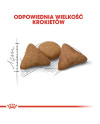 Royal Canin Indoor Apetite Control Karma Sucha Dla Kotów Dorosłych Przebywających W Domu, Domagających Się Jedzenia 400G