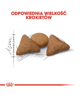 Royal Canin Indoor Apetite Control Karma Sucha Dla Kotów Dorosłych Przebywających W Domu, Domagających Się Jedzenia 400G