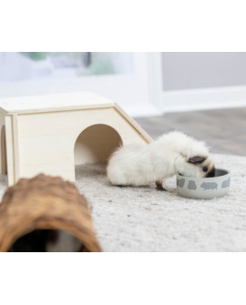 Trixie Miska Ceramiczna 250Ml Dla Świnki Morskiej [60732]