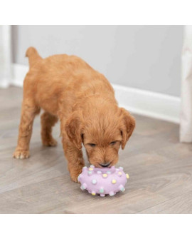 Trixie Mini Koło 8Cm [35612]