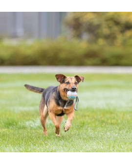 Trixie Piłka Gumowa Na Sznurku 6/30Cm [3454]