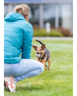 Trixie Piłka Gumowa Na Sznurku 6/30Cm [3454]