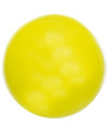 Trixie Piłka Gumowa 6Cm Twarda [3301]