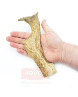 4Dogs Gryzak Z Poroża Daniela Xl