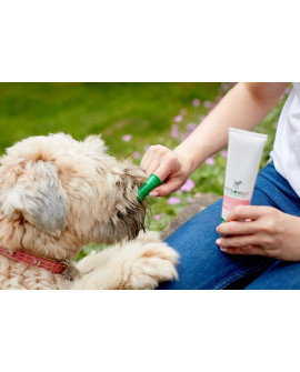 Vet's Best Dental Żel + Szczoteczka Zestaw Puppy