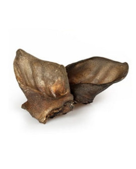 Balto Ucho Dzika 1Szt