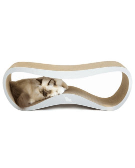 Mykotty Drapak Lui Siwy