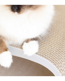 Mykotty Drapak Lui Siwy