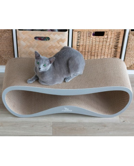 Mykotty Drapak Lui Siwy