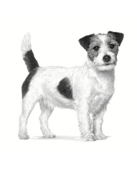 Royal Canin Veterinary Diet Canine Anallergenic Small 3Kg