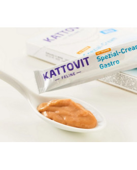 Kattovit Feline Pasta Gastro Cream 90G (6X15G)